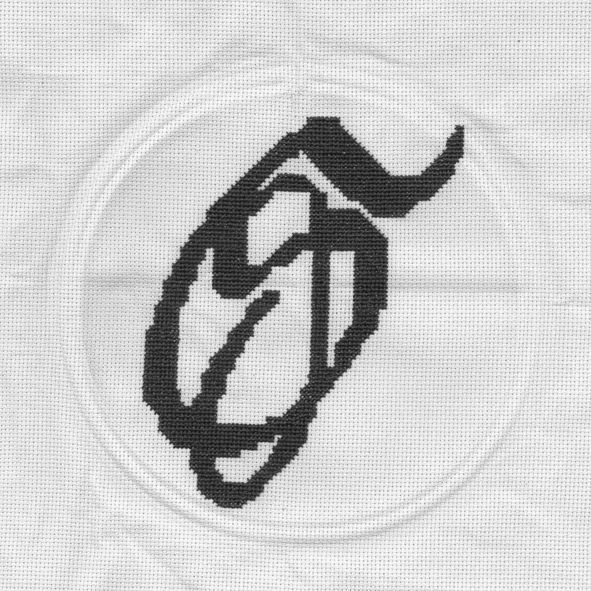 cross-stitched letter S